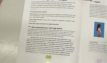 Stressz kezelő tanfolyamok